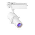 Track Lights - Indoor Lights - CXB LED LIGHTING